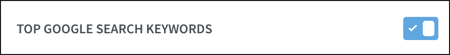 List the top Google Search Keywords on Overview.